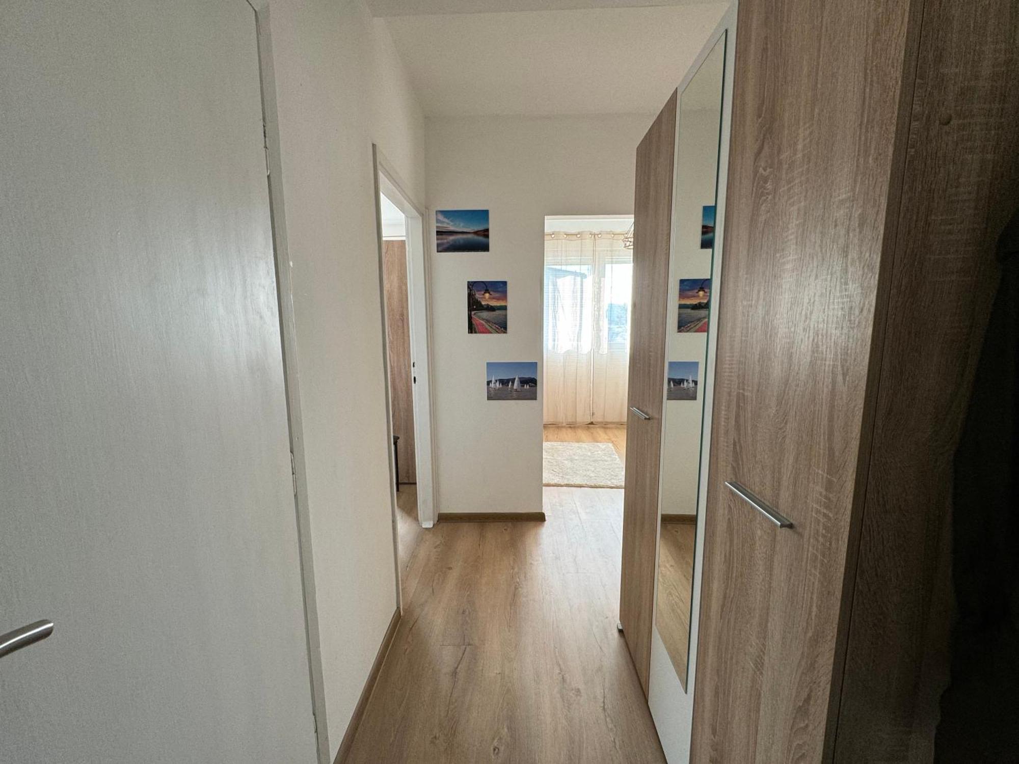 Vuk Apartman Доньи-Милановац Экстерьер фото
